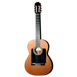 GUITARRA ELECTRO CLASICA PRUDENCIO SAEZ G9