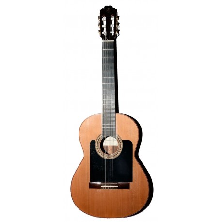 GUITARRA ELECTRO CLASICA PRUDENCIO SAEZ G9