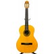 GUITARRA RAIMUNDO 104B