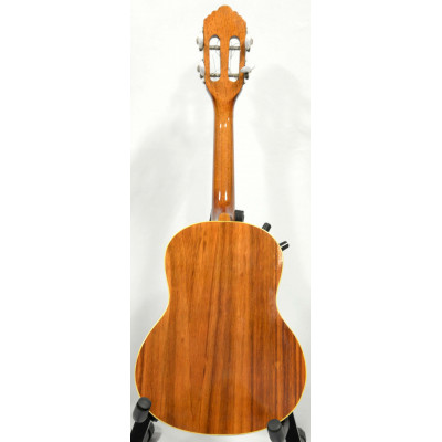 MALAGOLI ELÉCTRICA SOUND 1CSE