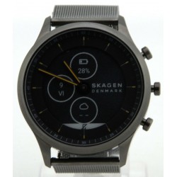 RELOJ SKAGEN SKT3002