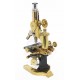 ANTIGUO MICROSCOPIO AUSTRAICO C. REICHERT - WIEN