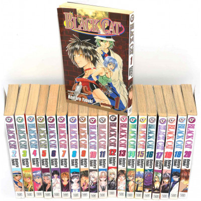 MANGA COMPLETO BLACK CAT 20 TOMOS