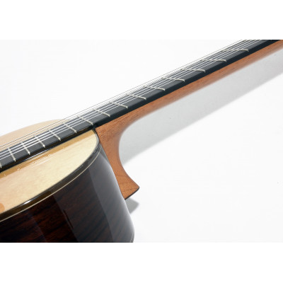 GUITARRA FLAMENCA SP6FE FLAMENCA ELECTRIFICADA