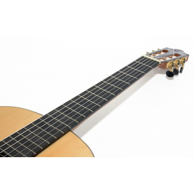 GUITARRA FLAMENCA SP6FE FLAMENCA ELECTRIFICADA