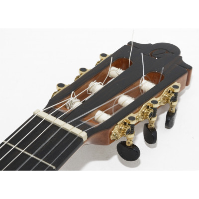 GUITARRA FLAMENCA SP6FE FLAMENCA ELECTRIFICADA