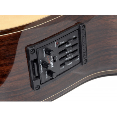 GUITARRA FLAMENCA SP6FE FLAMENCA ELECTRIFICADA