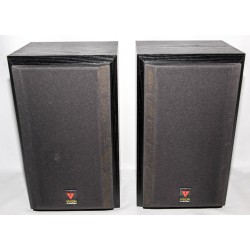 ALTAVOCES VISION DS1