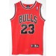 CAMISETA MICHAEL JORDAN CHICAGO BULL 23