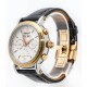 RELOJ INGERSOLL IN4502
