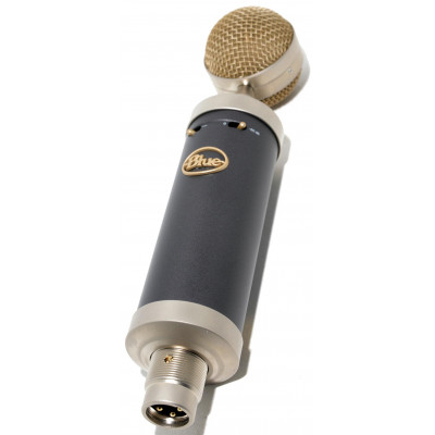 MICRÓFONO BLUE BABY BOTTLE SL