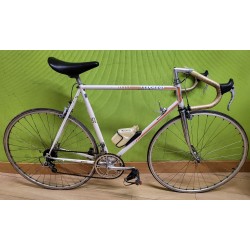 BICICLETA ELÉCTRICA MOOVWAY C19