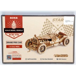 MAQUETA COCHE ROKR GRAND PRIX CAR