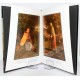 COLECCION LIBROS ILUSTRADOS LA ERA DE LOS IMPRESIONISTAS