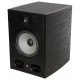 MONITOR DE ESTUDIO FOCAL ALPHA 65
