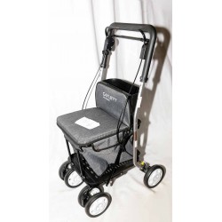 CARRITO ANDADOR CARLETT LETT800