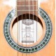 GUITARRA CLASICA CADETE ASHTON CG3BR