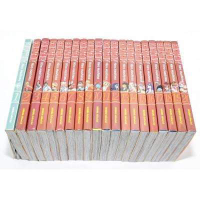 COLECCION MANGA FAIRYTAIL 20 TOMOS