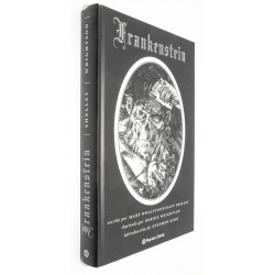 NOVELA GRAFICA FRANKENSTEIN
