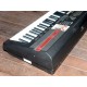 TECLADO CASIO WK-110