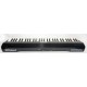 TECLADO PIANO ROLAND GO-61P