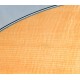 GUITARRA ACUSTICA TAYLOR 314CE
