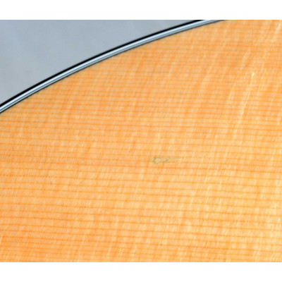 GUITARRA ACUSTICA TAYLOR 314CE