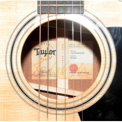 GUITARRA ACUSTICA TAYLOR 314CE