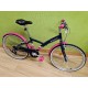 BICICLETA CARRETERA PINARELLO FP2 SKY TEAM