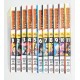 COLECCION MANGA MY HERO ACADEMIA VIGILANTE (11 TOMOS)