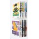 COLECCION MANGA HUNTER HUNTER - 10 TOMOS