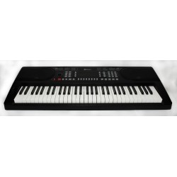 TECLADO SCHUBERT 300