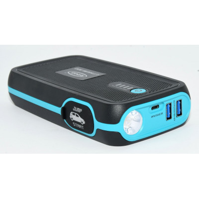 CARGADOR RING LITHIUM 300