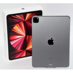 IPAD PRO 11 2021 WIFI 2TB GRIS