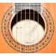 GUITARRA CLASICA HOFNER CARMENCITA HC503
