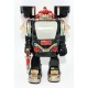 ROBOT KING LION COSMIC