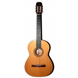 Guitarra Acústica Yamaha FG-312
