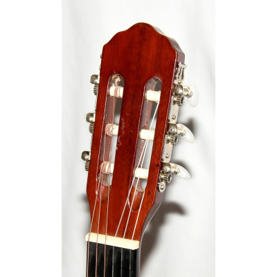 GUITARRA CLASICA ROCIO R10N