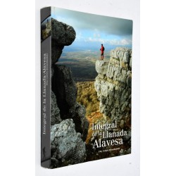 LIBRO INTEGRAL DE LA LLANADA ALAVESA