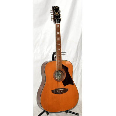 GUITARRA ACUSTICA EKO RIO BRAVO 6
