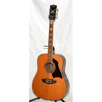 GUITARRA ACUSTICA EKO RIO BRAVO 6