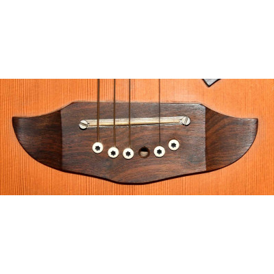 GUITARRA ACUSTICA EKO RIO BRAVO 6