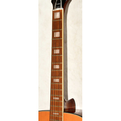 GUITARRA ACUSTICA EKO RIO BRAVO 6