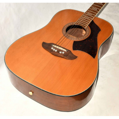 GUITARRA ACUSTICA EKO RIO BRAVO 6