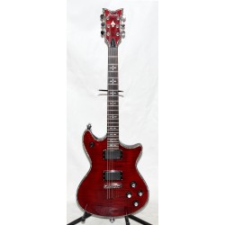 GUITARRA ELÉCTRICA SCHECTER HELLRAISER