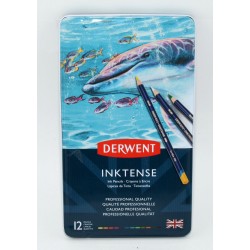 ESTUCHE x12 LAPICES DE TINTA DERWENT INKTENSE