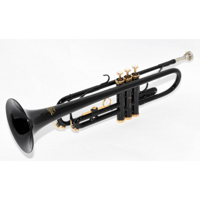 TROMPETA J.MICHAEL TR430CBK