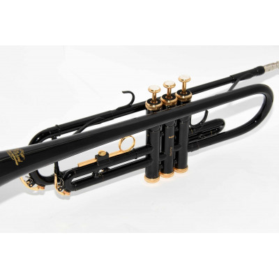 TROMPETA J.MICHAEL TR430CBK