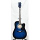 GUITARRA ACUSTICA 07 USA WG-54 BLS
