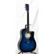 GUITARRA ACUSTICA 07 USA WG-54 BLS